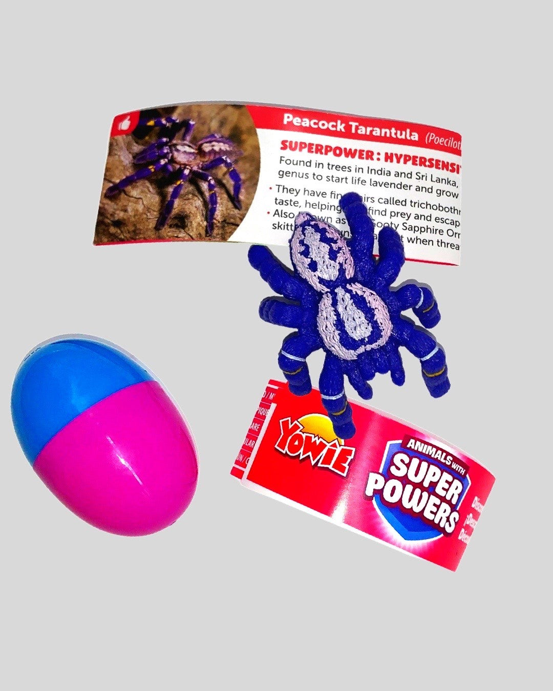 Yowie Peacock Tarantula purple and white spider figurine with surprise egg and fact card