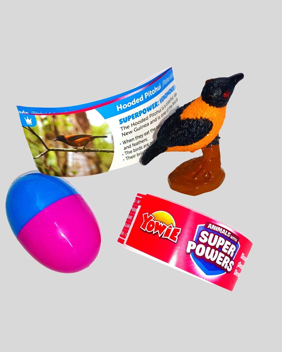 Hooded Pitohui Animals with Superpowers 2" Bird Figurine 🐦 Yowie Super Powers