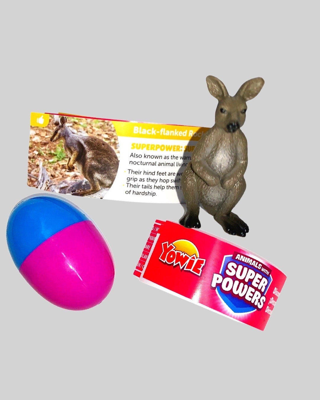 Black-flanked Rock-Wallaby Animals with Superpowers Collectible Toy 🦘 Yowie