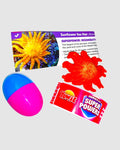 Sunflower Sea Star Animals with Superpowers 2" Figurine ⭐ Yowie Super Powers