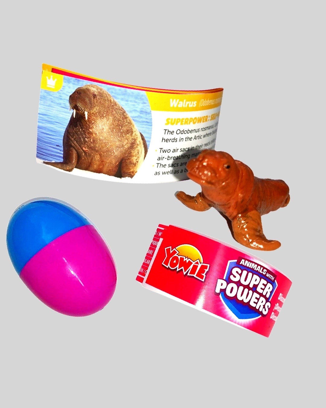 Yowie Walrus brown figurine with tusks, surprise egg and fact card